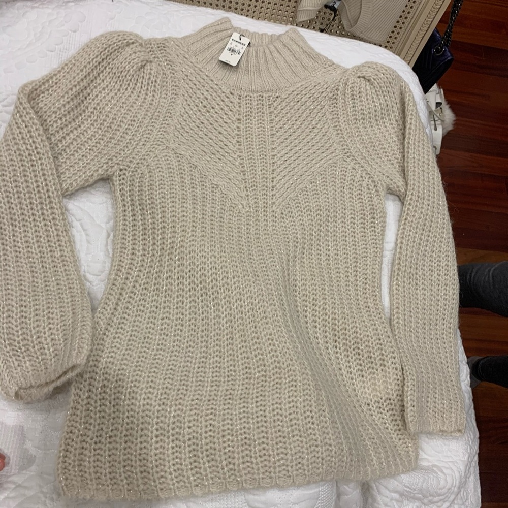 Express Turtleneck sweater
